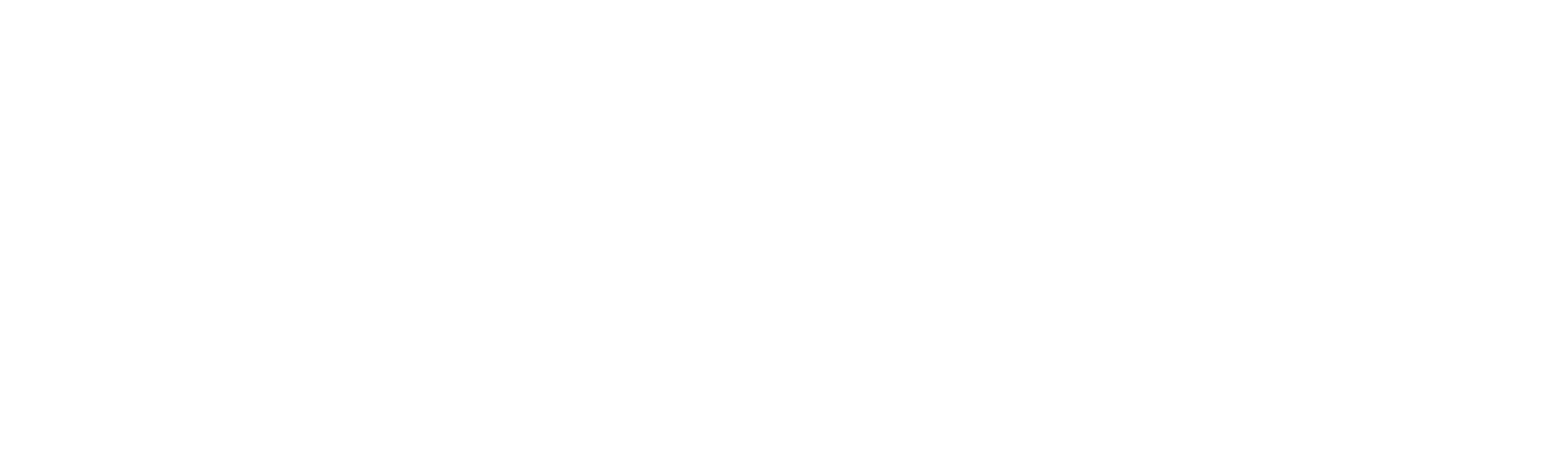 dandemutande logo